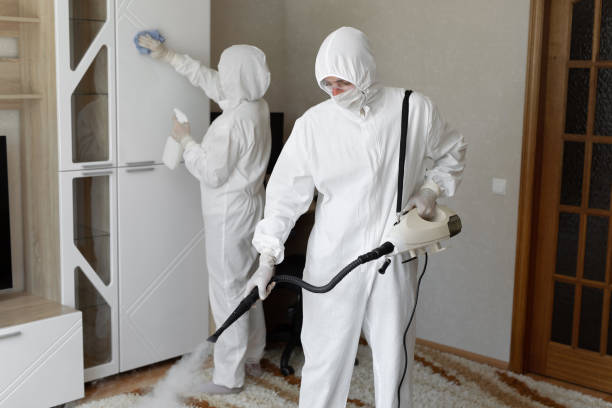 Certified Mold Removal in Haskell, TX